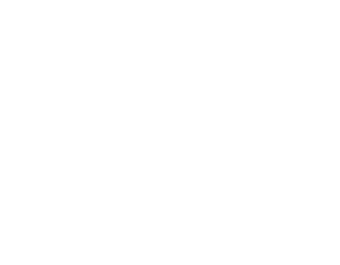 Daurio Design